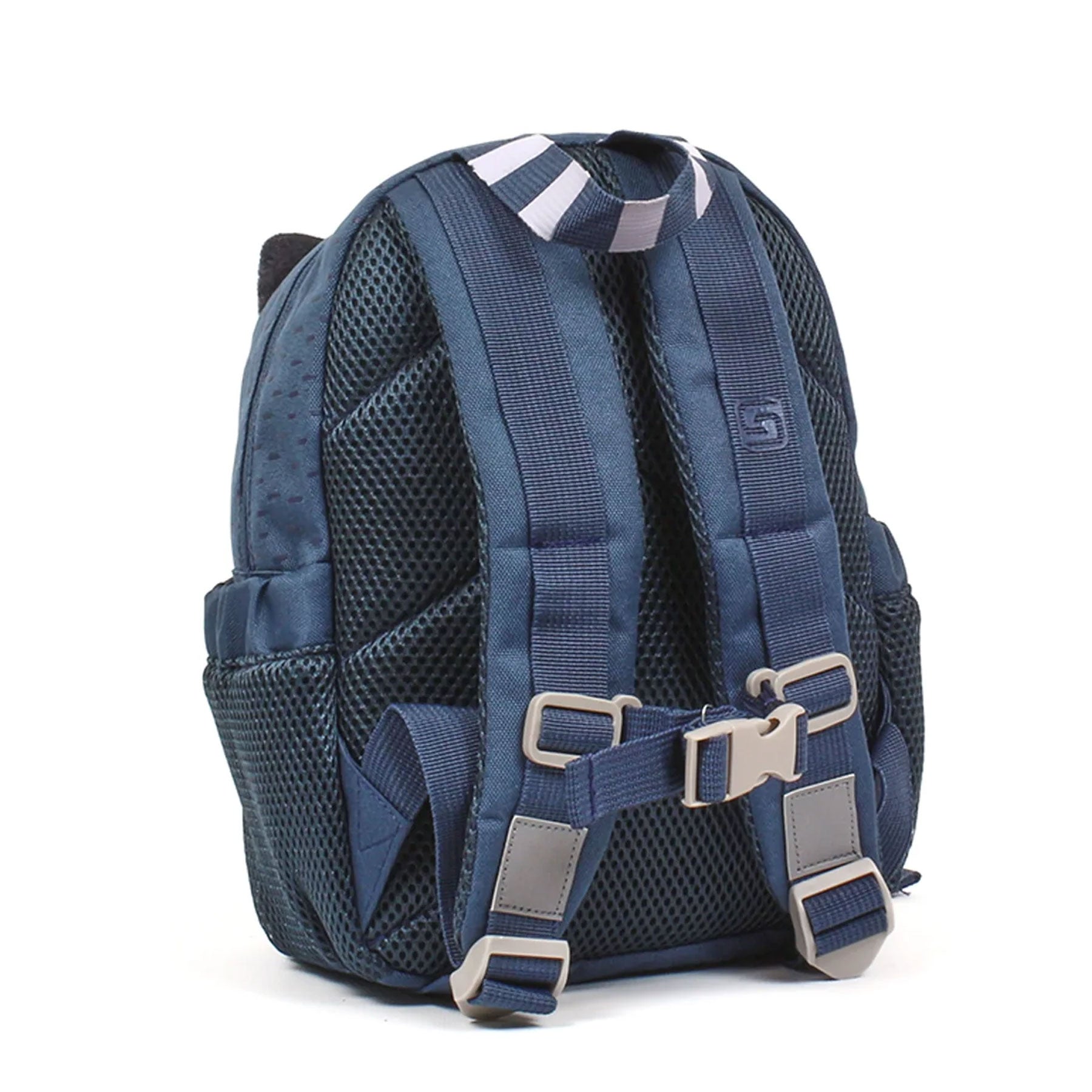 RUCSAC GRADINITA ROCKY RACOON GRI SCHNEIDERS