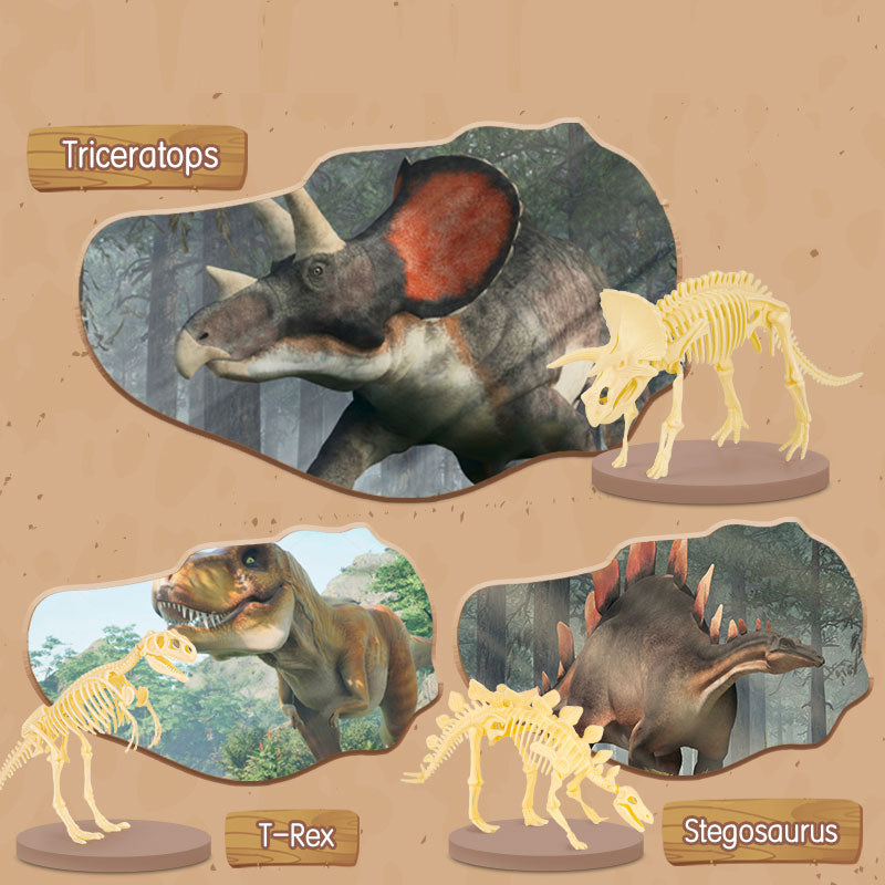 SET CREATIV FOSSILE DETECTIVE TYRANNOSAURUS DELI