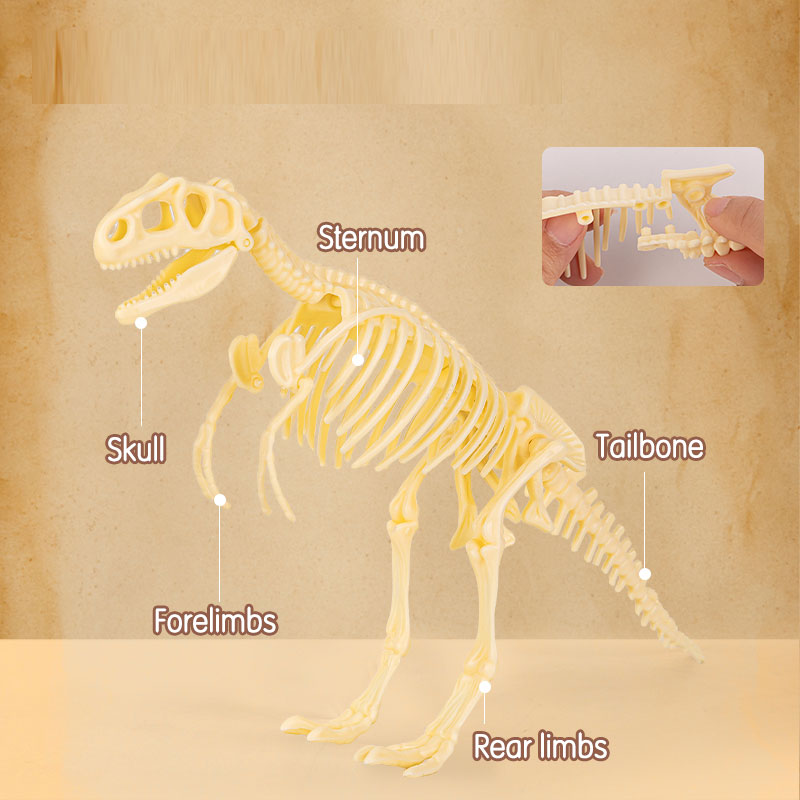SET CREATIV FOSSILE DETECTIVE TYRANNOSAURUS DELI