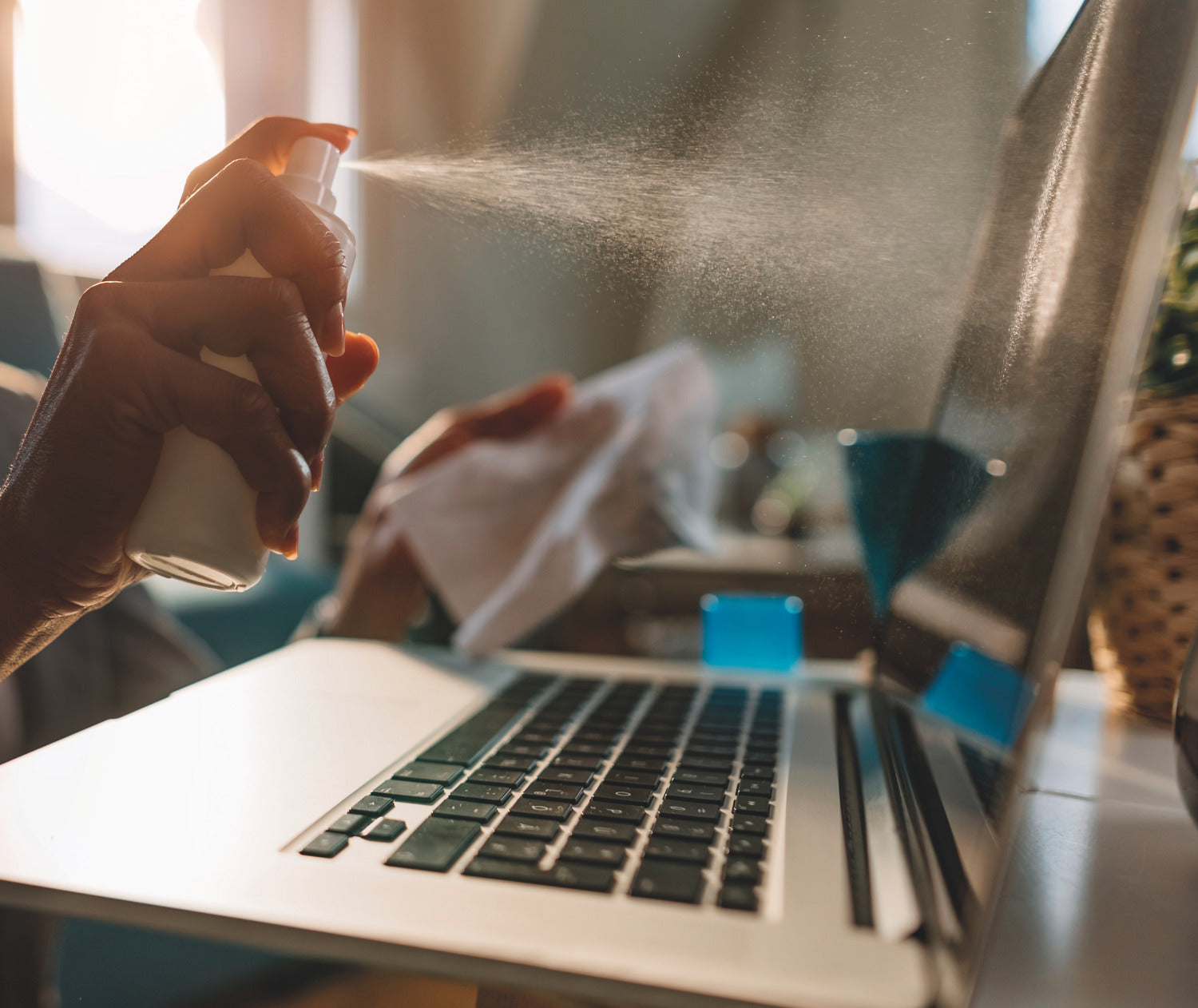 SPRAY CURATARE MONITOR 250ML DATALINE ESSELTE