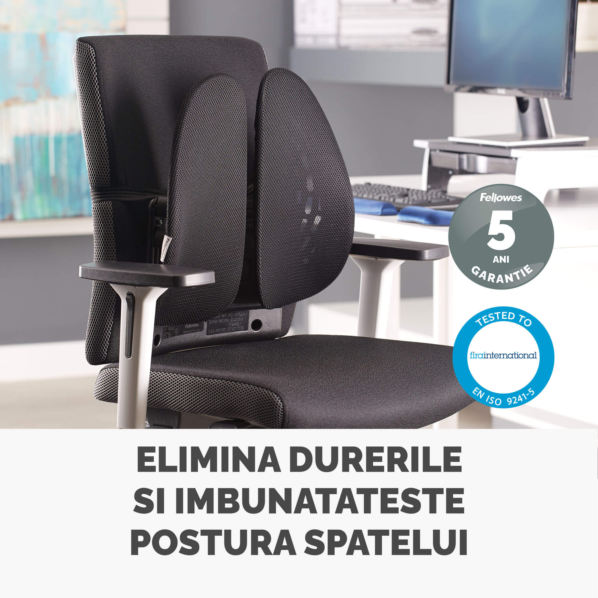 SUPORT ERGONOMIC PENTRU SPATE BACK ANGEL FELLOWES