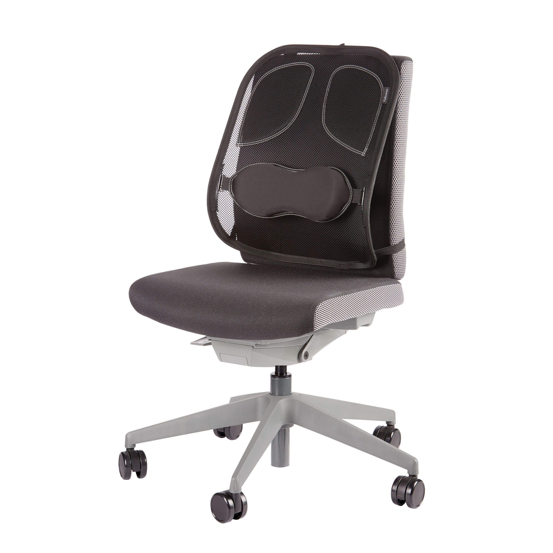 SUPORT ERGONOMIC PENTRU SPATE PROFESSIONAL MESH FELLOWES