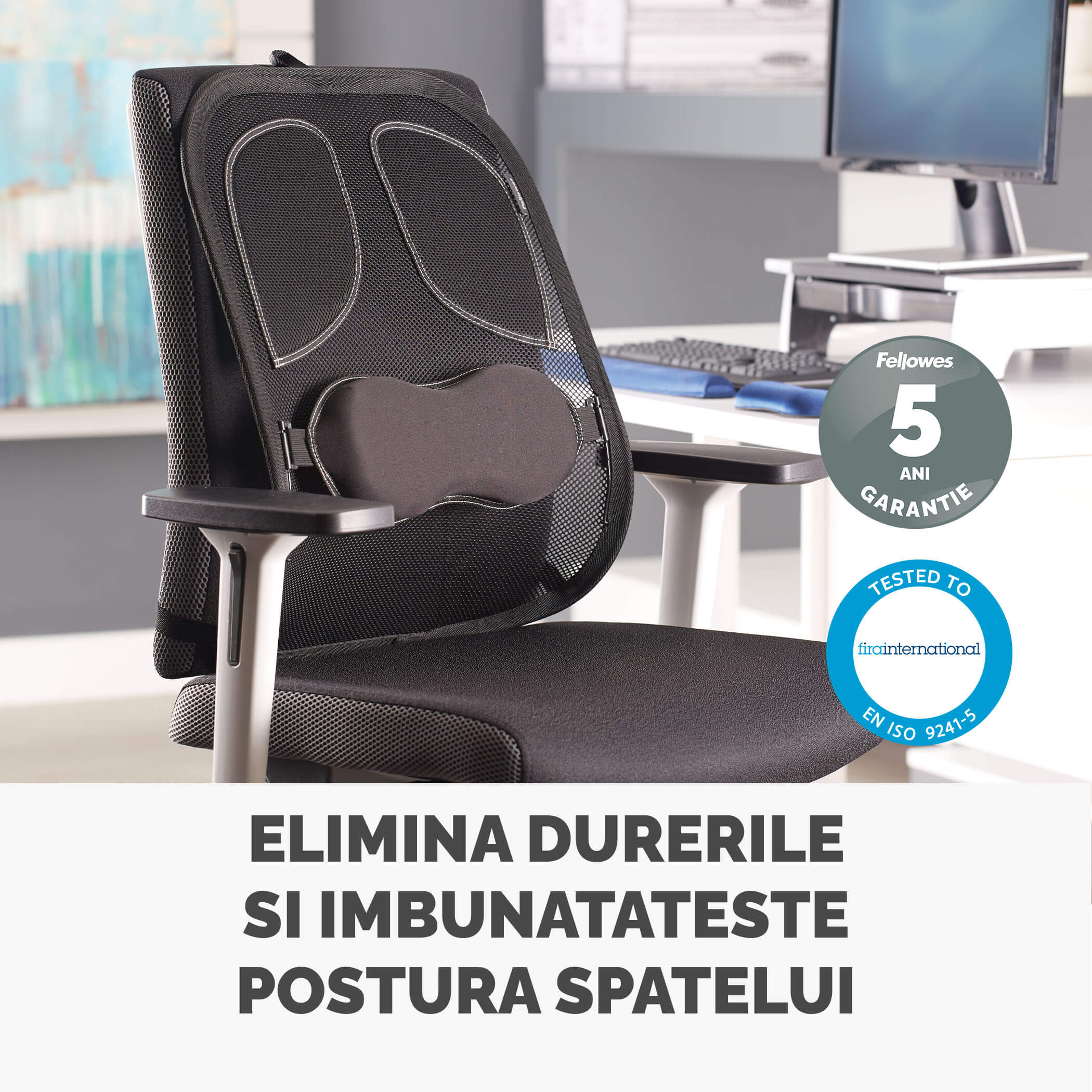 SUPORT ERGONOMIC PENTRU SPATE PROFESSIONAL MESH FELLOWES