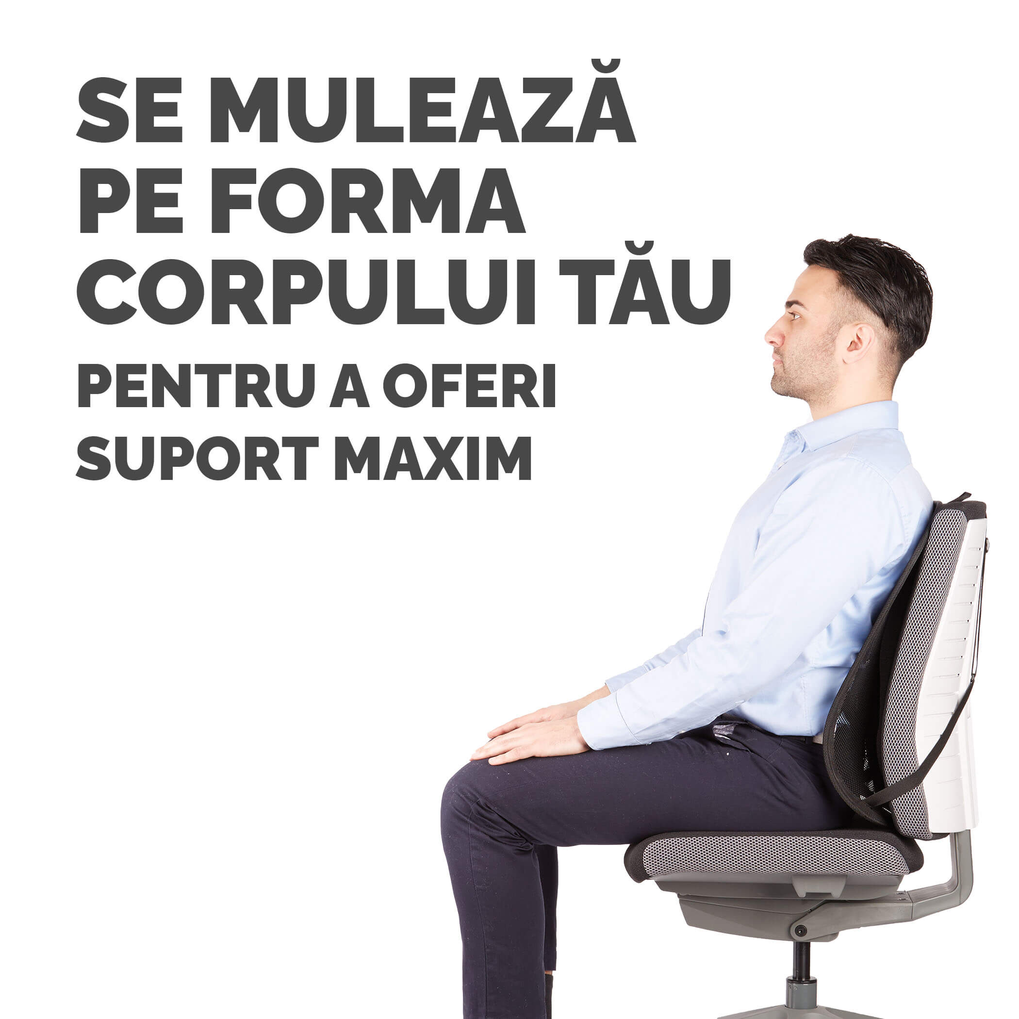 SUPORT ERGONOMIC PENTRU SPATE PROFESSIONAL MESH FELLOWES