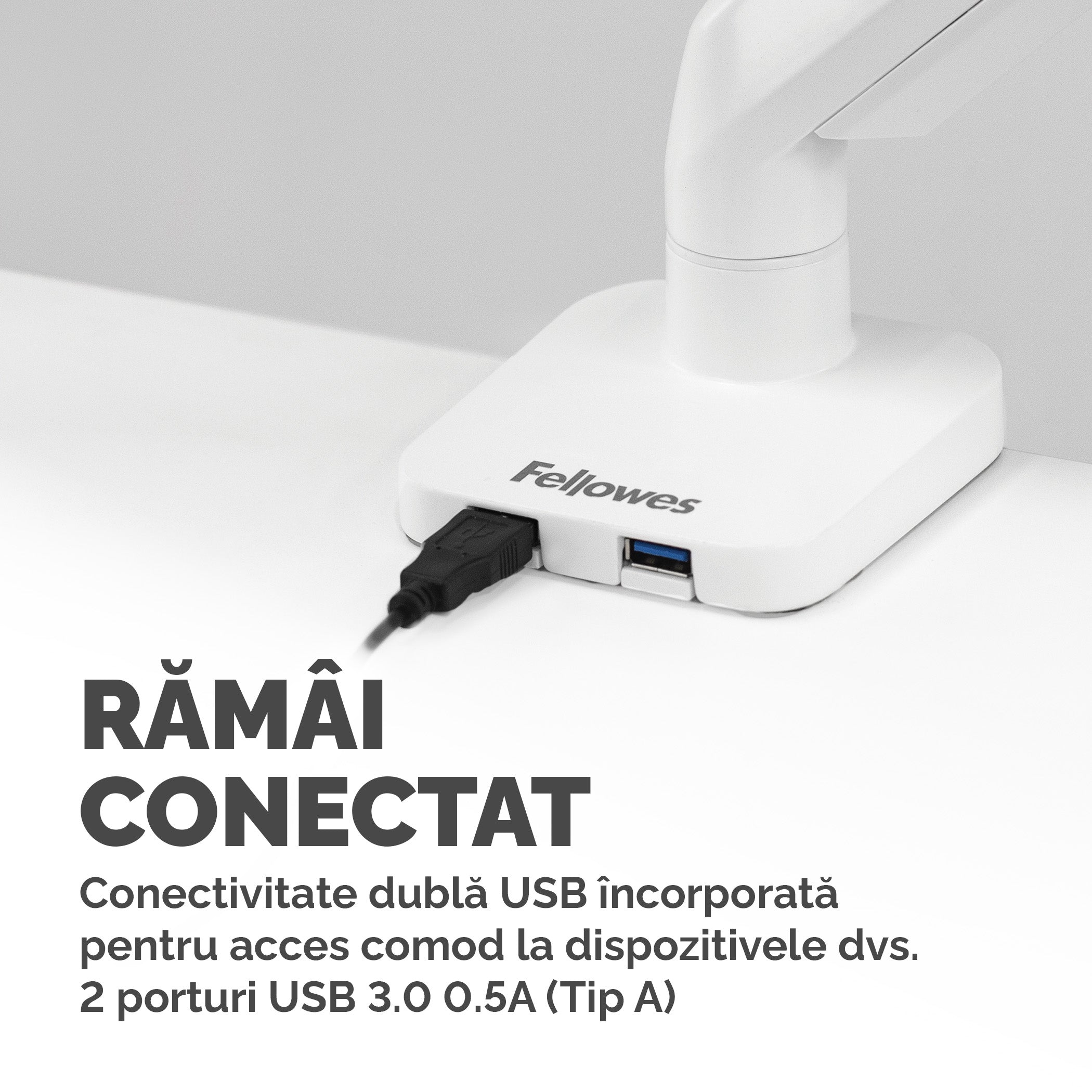 SUPORT MONITOR 1 BRAT ALB PLATINIUM FELLOWES
