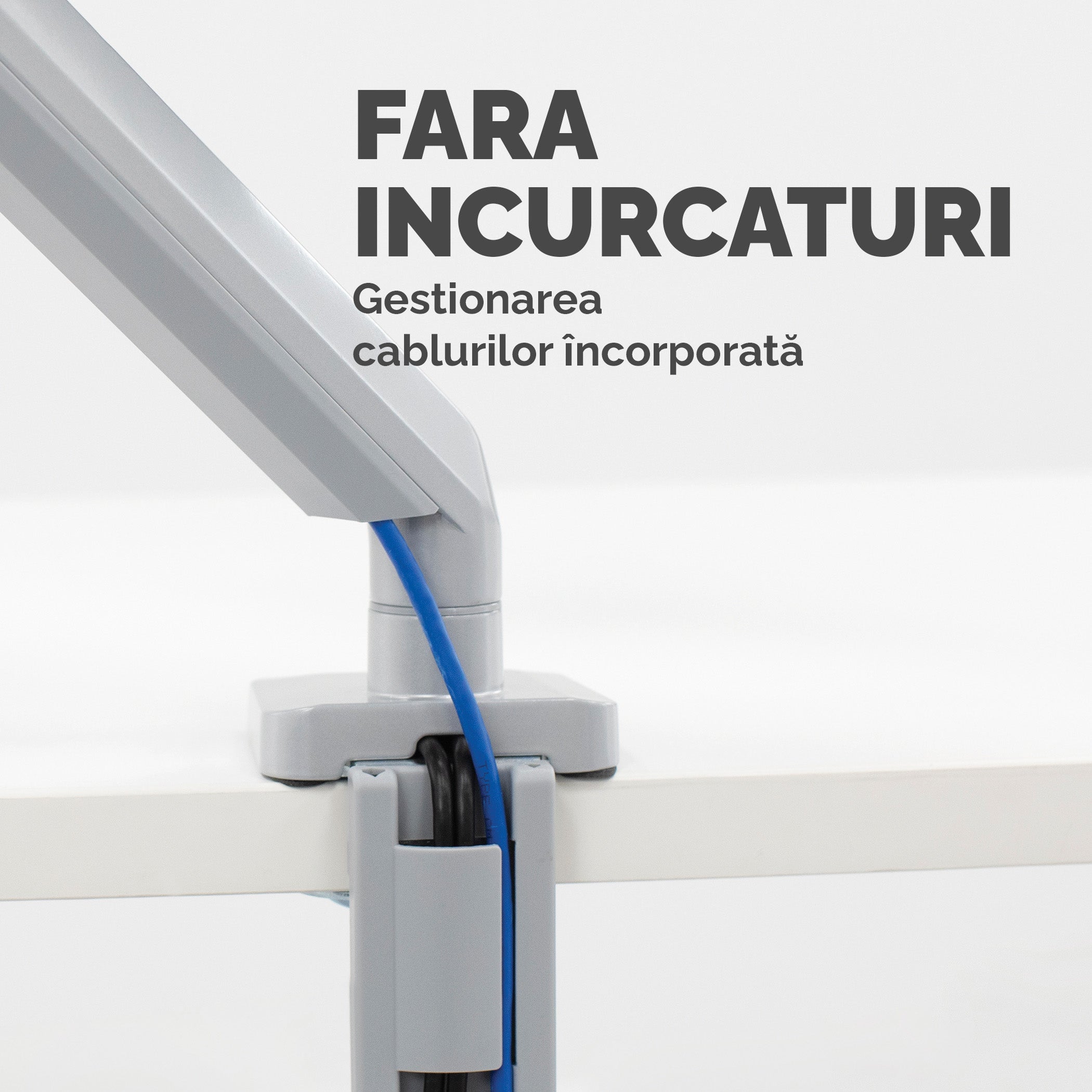 SUPORT MONITOR 1 BRAT ARGINTIU PLATINIUM FELLOWES