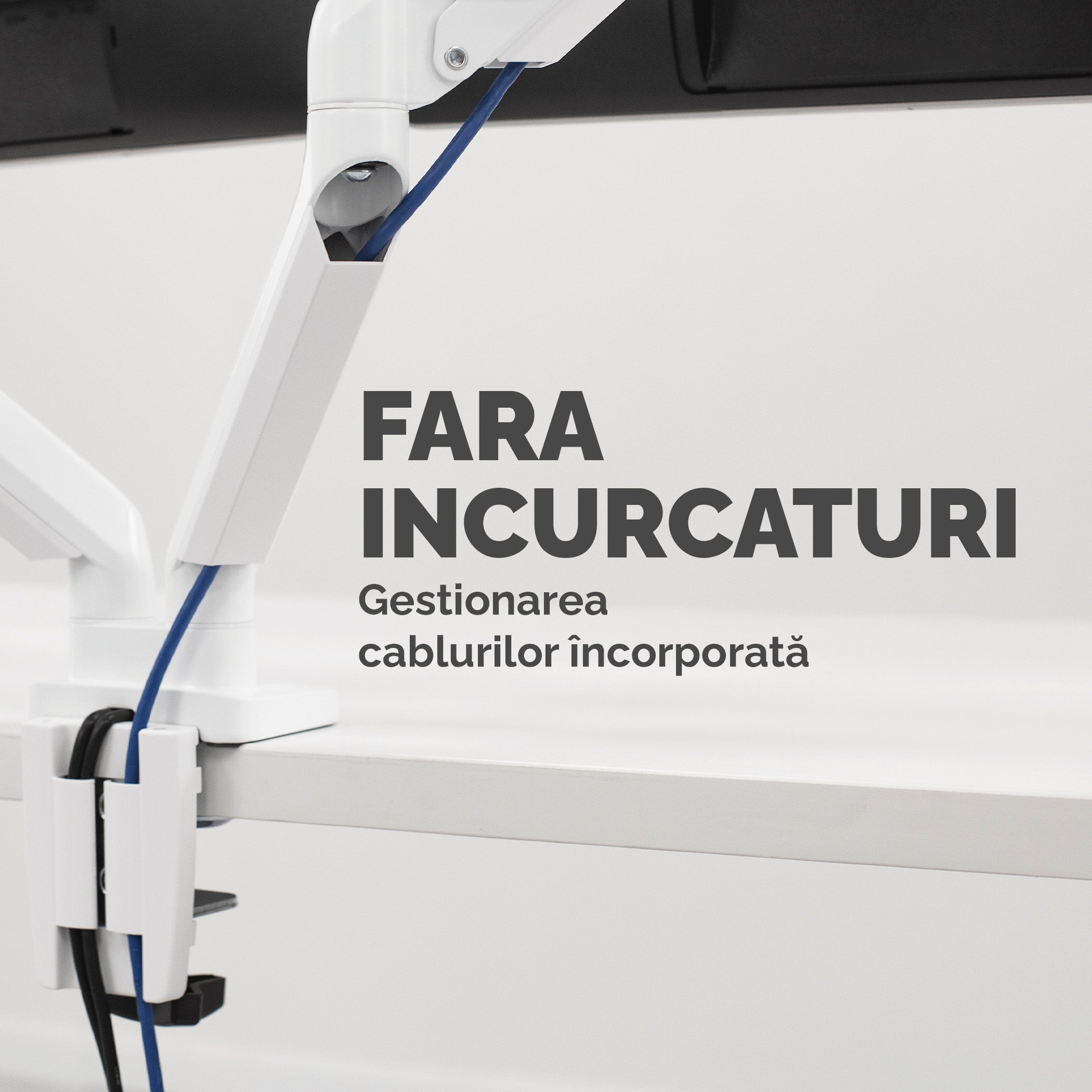 SUPORT MONITOR 2 BRATE ALB PLATINIUM FELLOWES