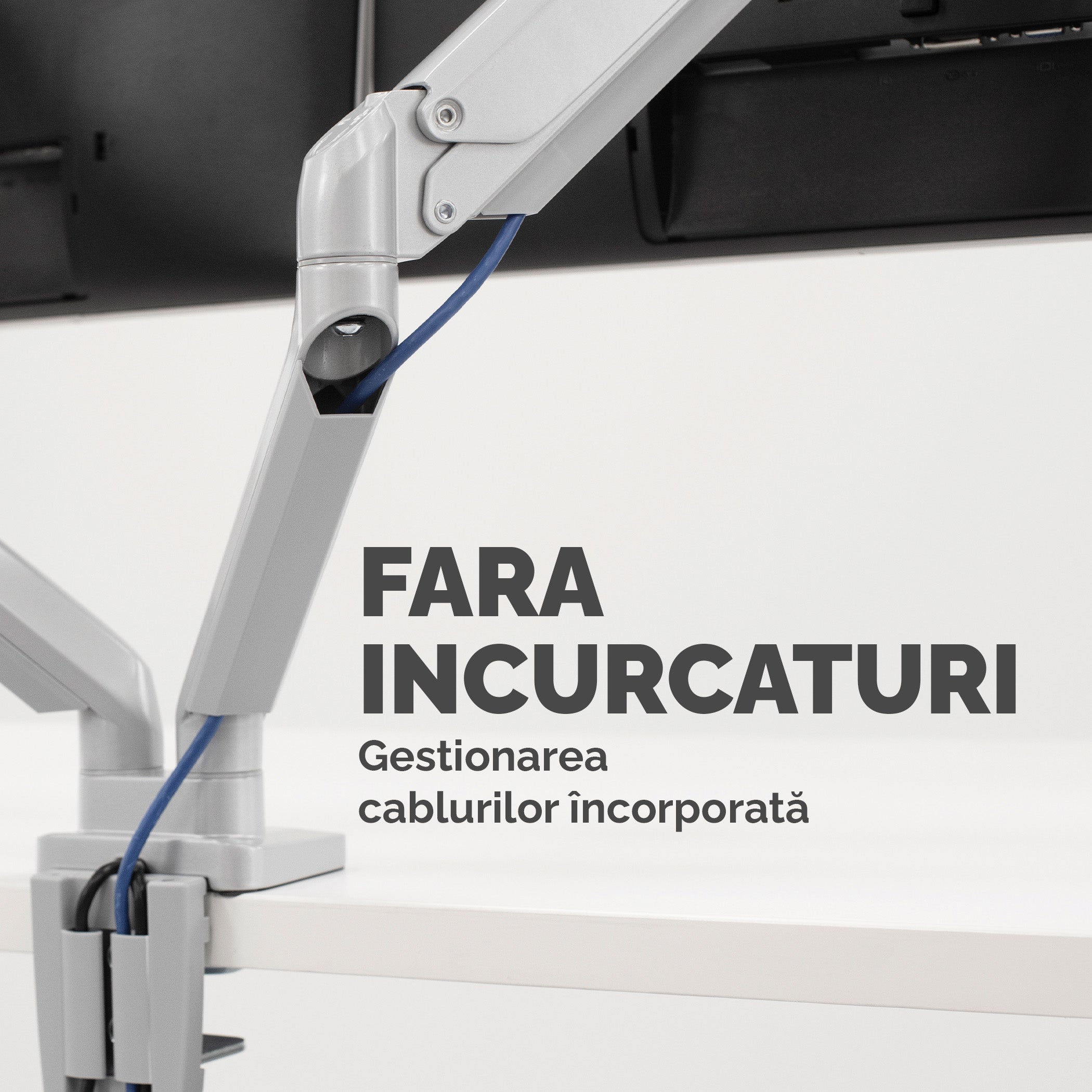 SUPORT MONITOR 2 BRATE ARGINTIU PLATINIUM FELLOWES