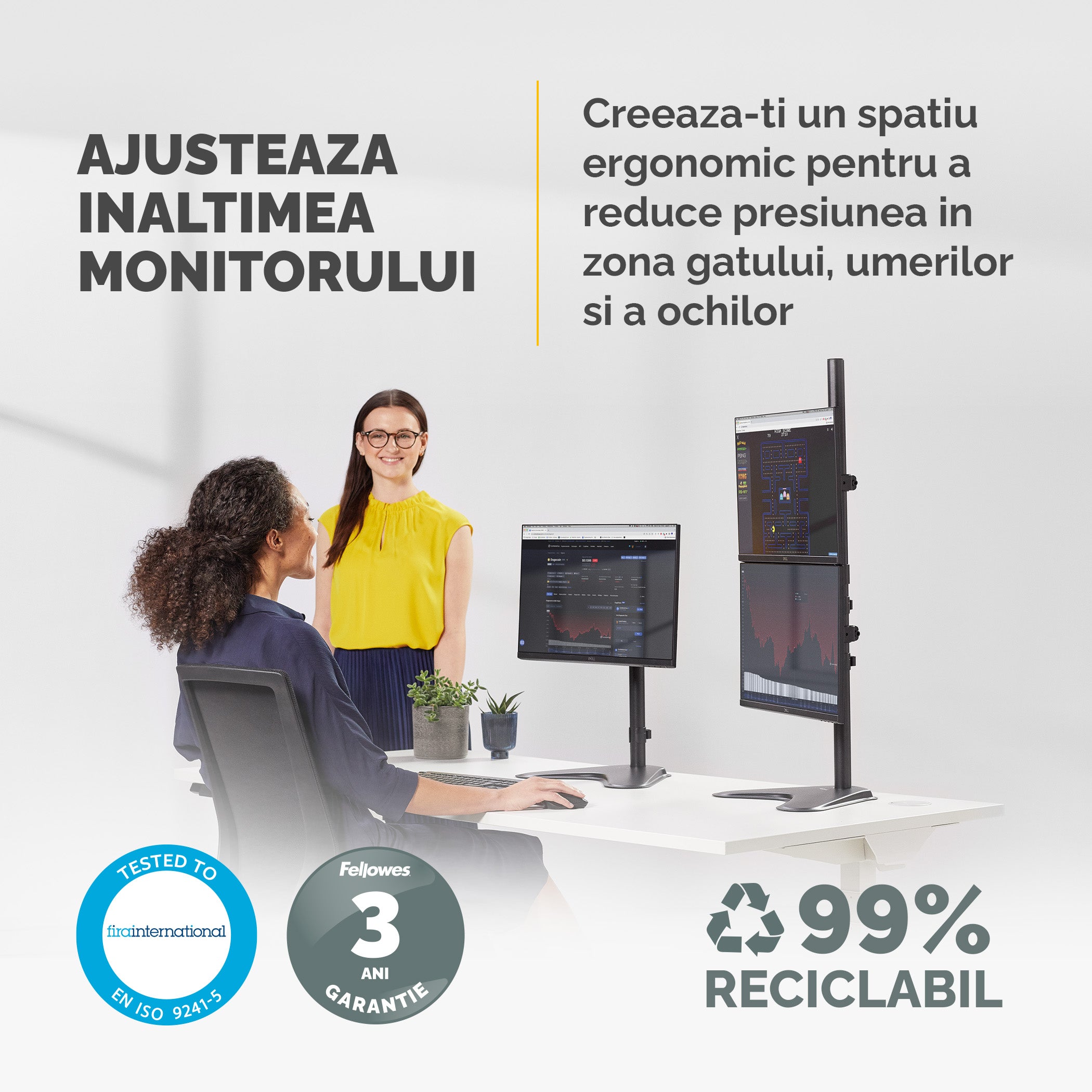 SUPORT MONITOR BAZA FIXA 2 BRATE VERTICAL PROFESSIONAL FELLOWES